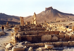 Palmyre et Krak des Chevaliers (Syrie) - Décembre 2002