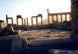 Palmyre et Krak des Chevaliers (Syrie) - Décembre 2002