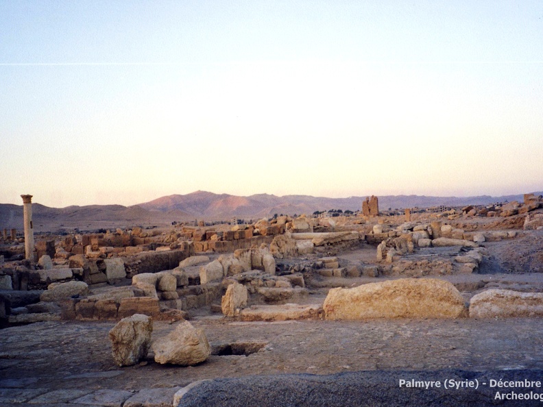 Palmyre et Krak des Chevaliers (Syrie) - Décembre 2002