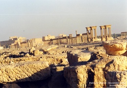 Palmyre et Krak des Chevaliers (Syrie) - Décembre 2002