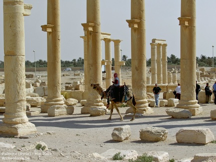 Le site de Palmyre en mai 2002