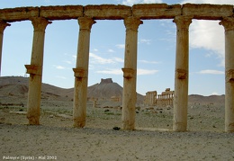 Le site de Palmyre en mai 2002