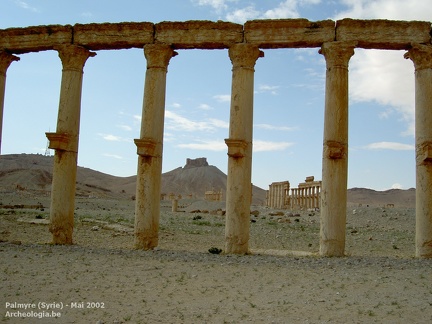 Le site de Palmyre en mai 2002