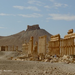 Le site de Palmyre en mai 2002