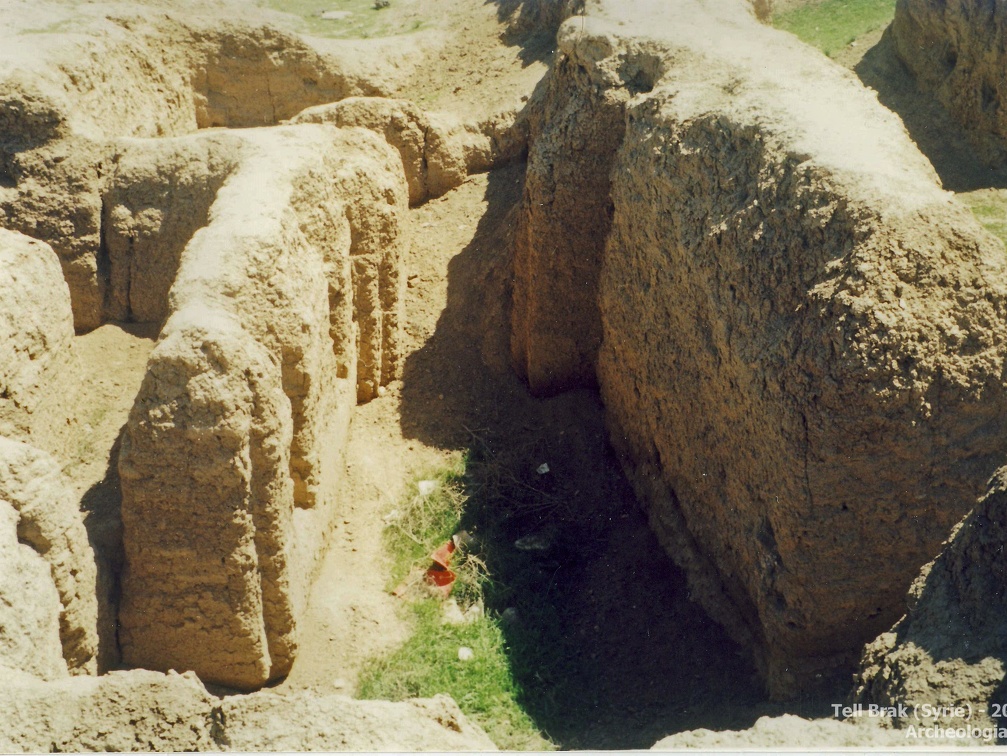 Fouilles archéologiques sur le site de Tell Brak 