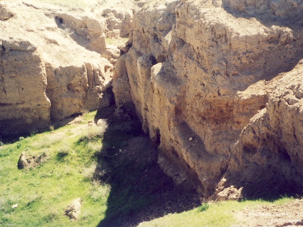 Fouilles archéologiques sur le site de Tell Brak 