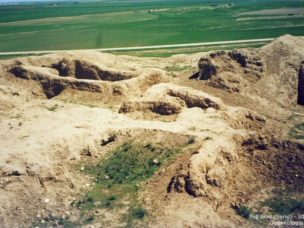 Fouilles archéologiques sur le site de Tell Brak 