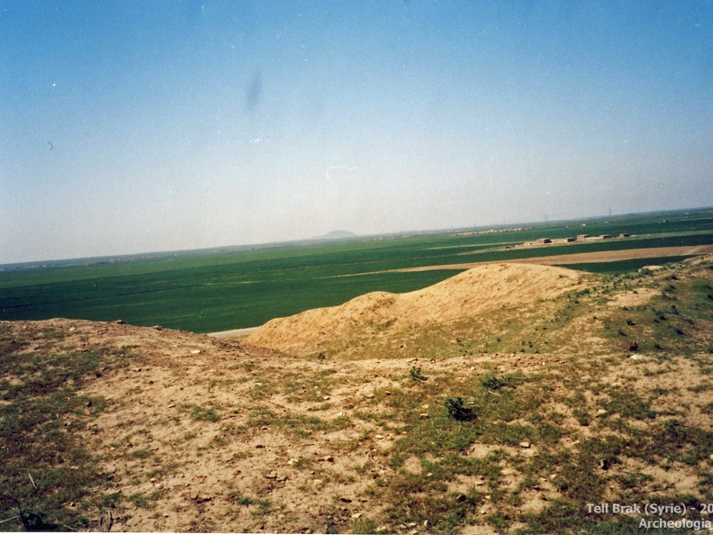 Fouilles archéologiques sur le site de Tell Brak 