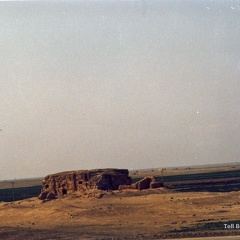 Fouilles archéologiques sur le site de Tell Brak 