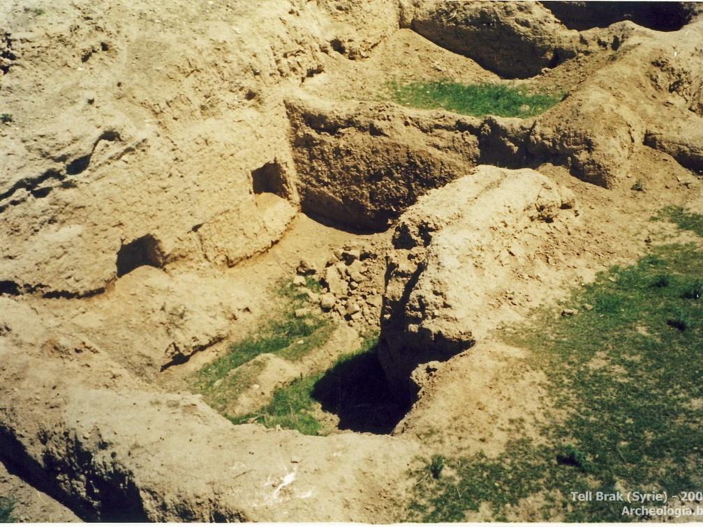 Fouilles archéologiques sur le site de Tell Brak 