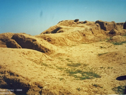 Fouilles archéologiques sur le site de Tell Brak 