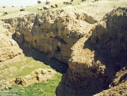 Fouilles archéologiques sur le site de Tell Brak 