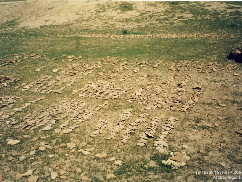 Fouilles archéologiques sur le site de Tell Brak 