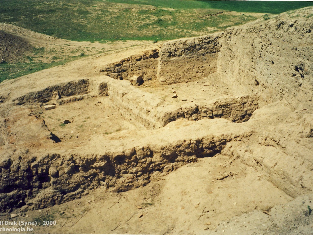 Fouilles archéologiques sur le site de Tell Brak 