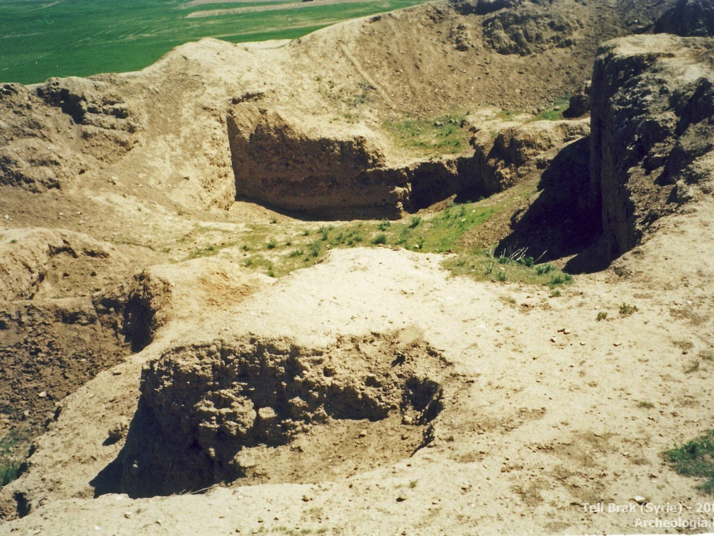 Fouilles archéologiques sur le site de Tell Brak 