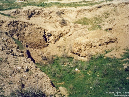 Fouilles archéologiques sur le site de Tell Brak 