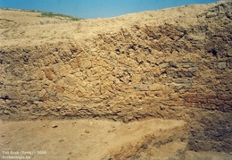 Fouilles archéologiques sur le site de Tell Brak 