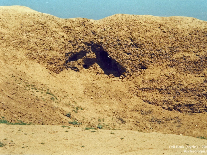 Fouilles archéologiques sur le site de Tell Brak 