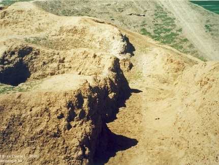 Fouilles archéologiques sur le site de Tell Brak 