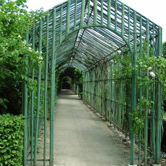 Château de Versailles et ses jardins