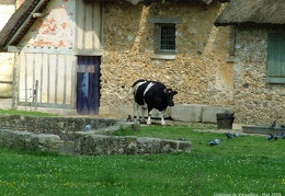 Le domaine de Marie-Antoinette - Château de Versailles