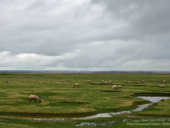 Visite de l'abbaye du Mont-Saint-Michel