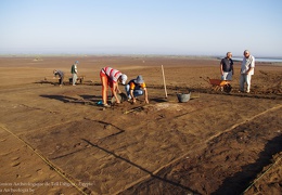 Niveaux pharaoniques - Chantier de Tell Dibgou