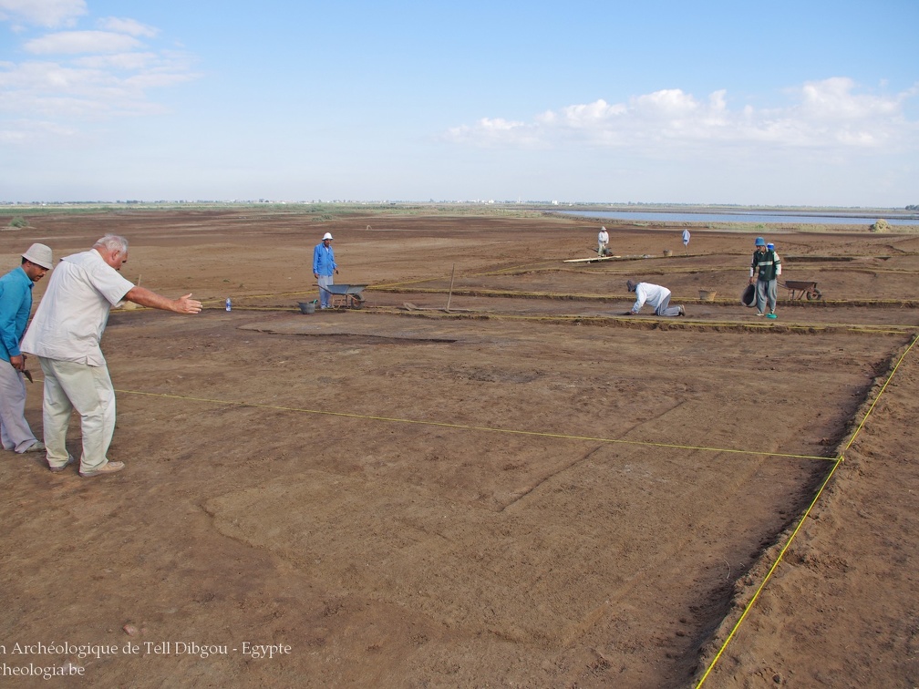 Niveaux pharaoniques - Chantier de Tell Dibgou