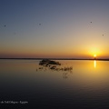 Lever de soleil face au Tell Dibgou