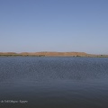 Photos de chantier - Vue générale de Tell Dibgou