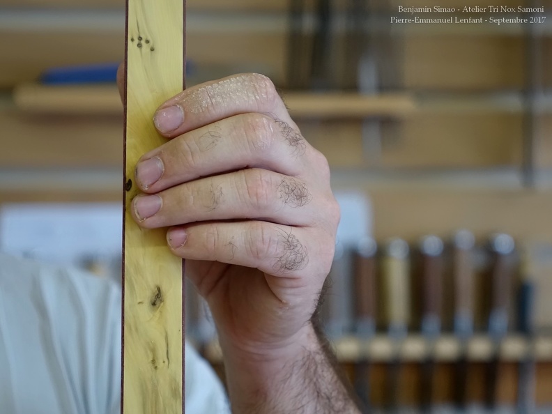 Atelier de Benjamin Simao - Archéo-Luthier