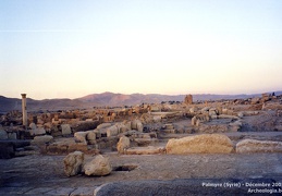 Palmyre et Krak des Chevaliers (Syrie) - Décembre 2002