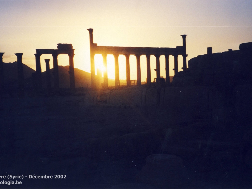 Palmyre et Krak des Chevaliers (Syrie) - Décembre 2002