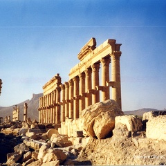 Palmyre et Krak des Chevaliers (Syrie) - Décembre 2002