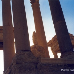 Palmyre et Krak des Chevaliers (Syrie) - Décembre 2002