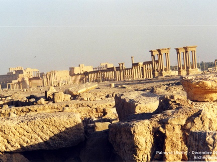 Palmyre et Krak des Chevaliers (Syrie) - Décembre 2002