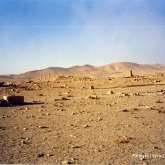 Palmyre et Krak des Chevaliers (Syrie) - Décembre 2002