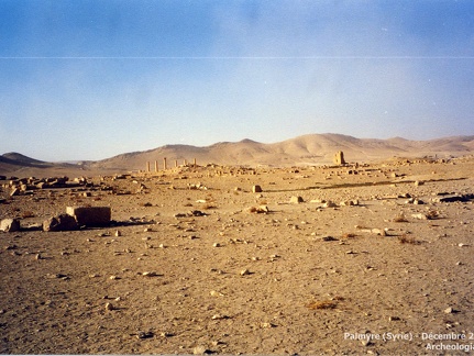 Palmyre et Krak des Chevaliers (Syrie) - Décembre 2002