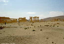 Le site de Palmyre en mai 2002