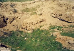 Fouilles archéologiques sur le site de Tell Brak 