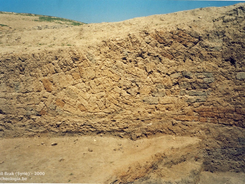 Fouilles archéologiques sur le site de Tell Brak 