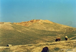 Fouilles archéologiques sur le site de Tell Brak 