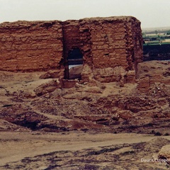 Le long de l'Euphrate - Avril 2002