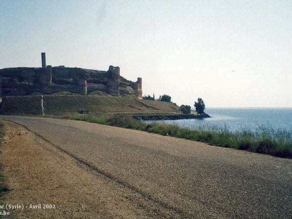 Le long de l'Euphrate - Avril 2002