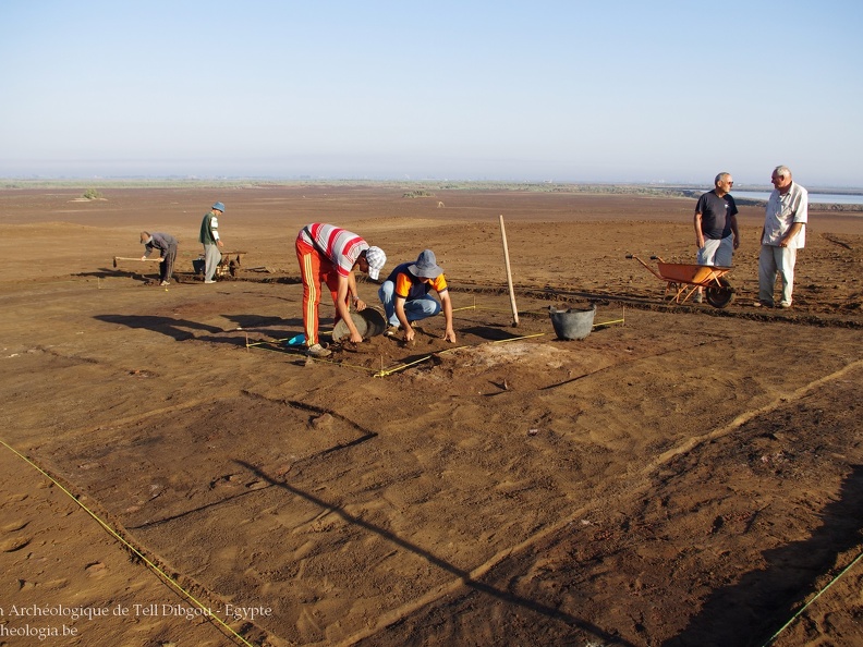 Niveaux pharaoniques - Chantier de Tell Dibgou