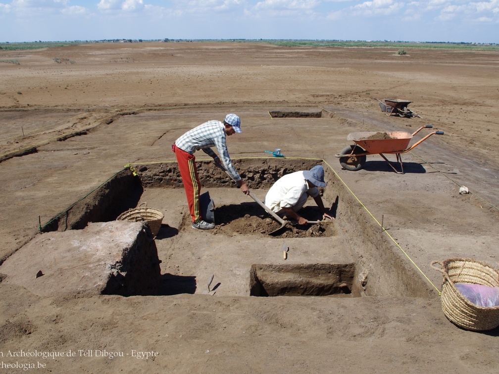 Niveaux pharaoniques - Chantier de Tell Dibgou