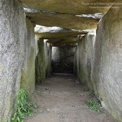 Musée de la Préhistoire Finistérienne